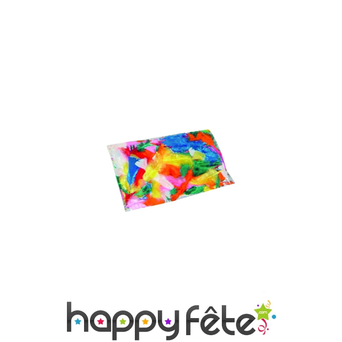 Sachet 100 plumes multicolores pied plat 15 cm