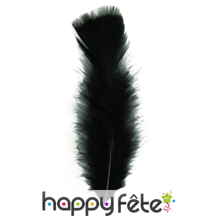 Sachet 100 plumes noires pied plat 15 cm