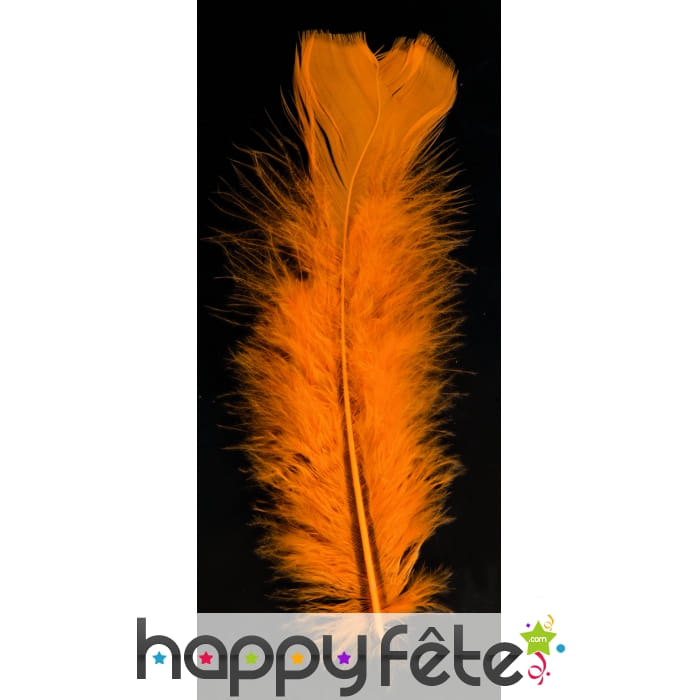 Sachet 100 plumes orange pied plat 15 cm