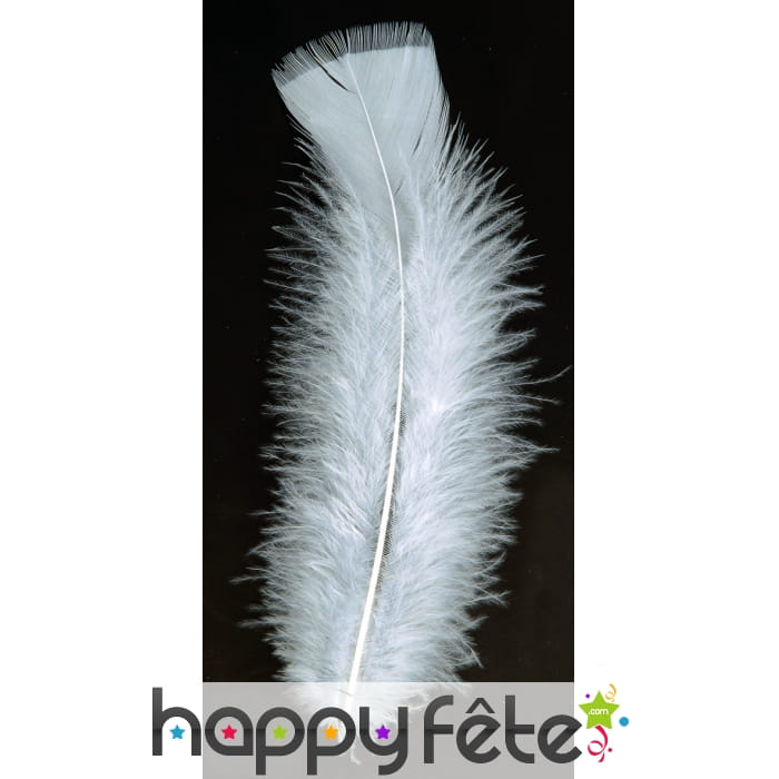 Sachet 50 plumes blanches pied plat 10 cm