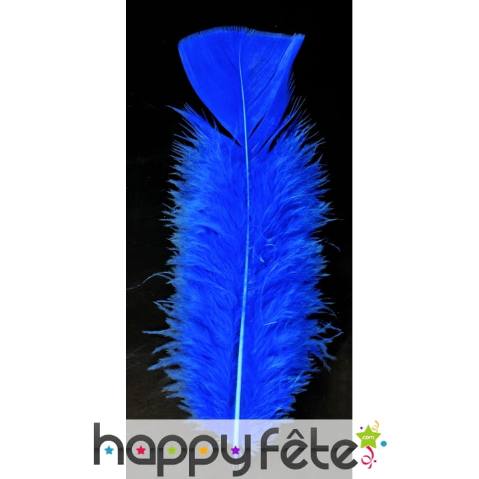 Sachet 50 plumes bleues pied plat 10 cm