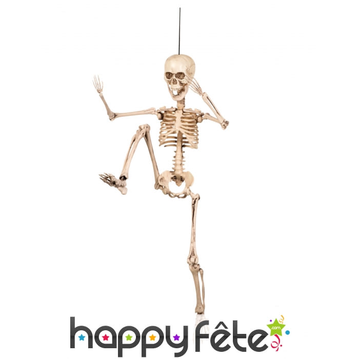 Squelette articulée de 50cm
