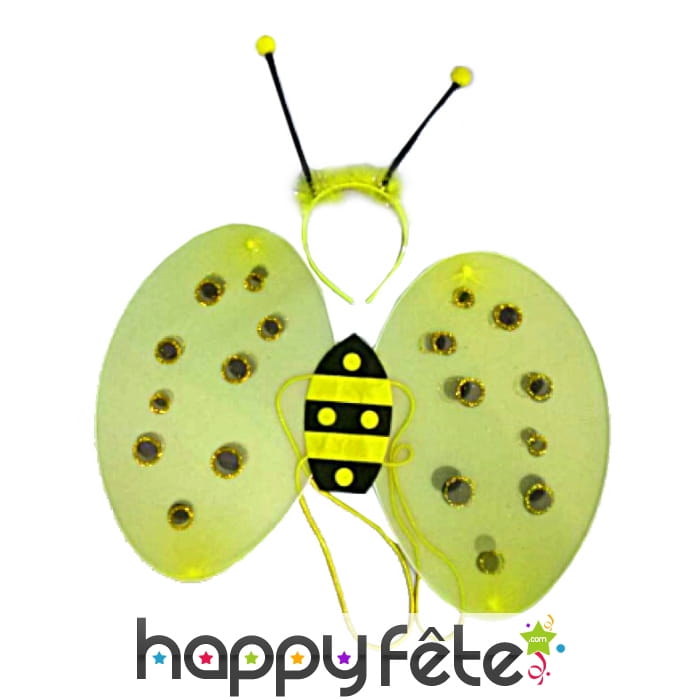 Set abeille pour adulte