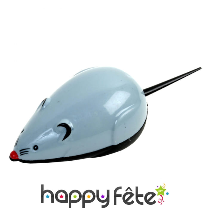 Souris à rétro friction de 9cm