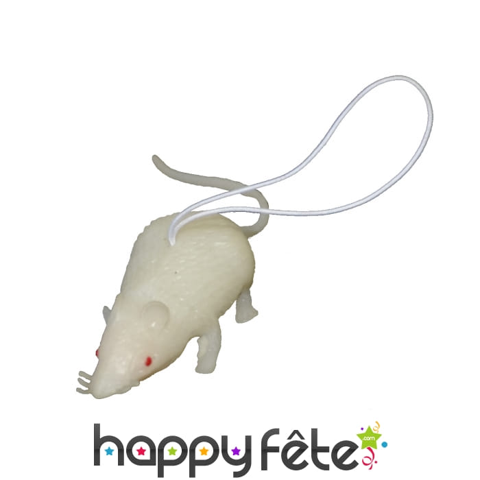 Souris blanche décorative