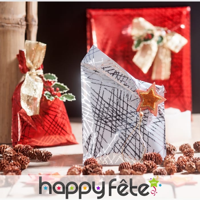 Sac cadeau argenté de 35 x 50cm