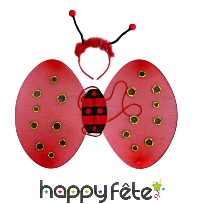 Set coccinelle pour adulte