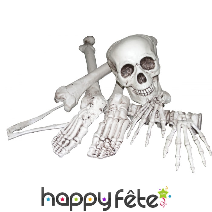 Sachet de 10 ossements décoratifs