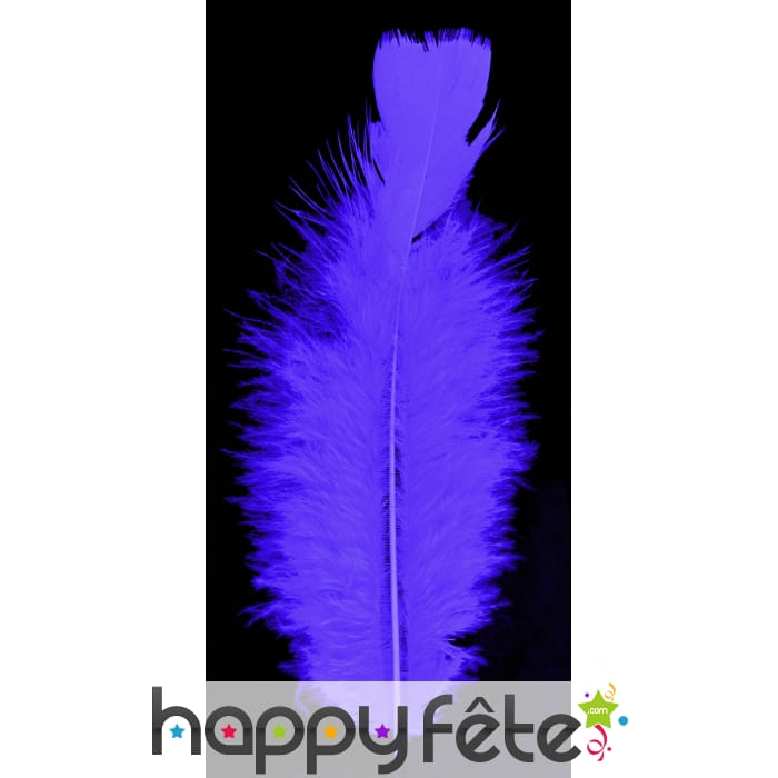 Sachet de 100 plumes violettes de 15cm