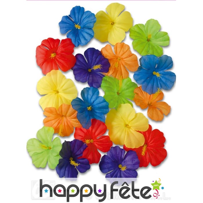 Sachet de 18 fleurs d'ibiscus