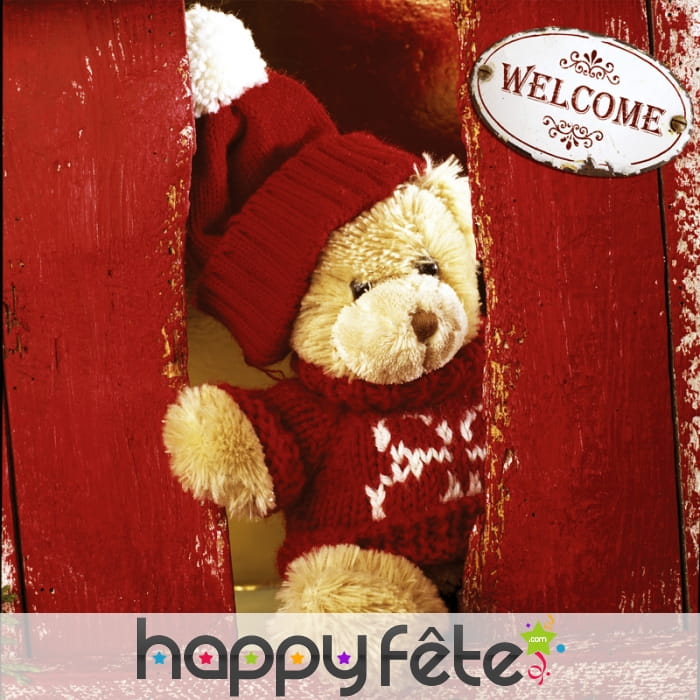 Sachet de 20 serviettes ourson welcome