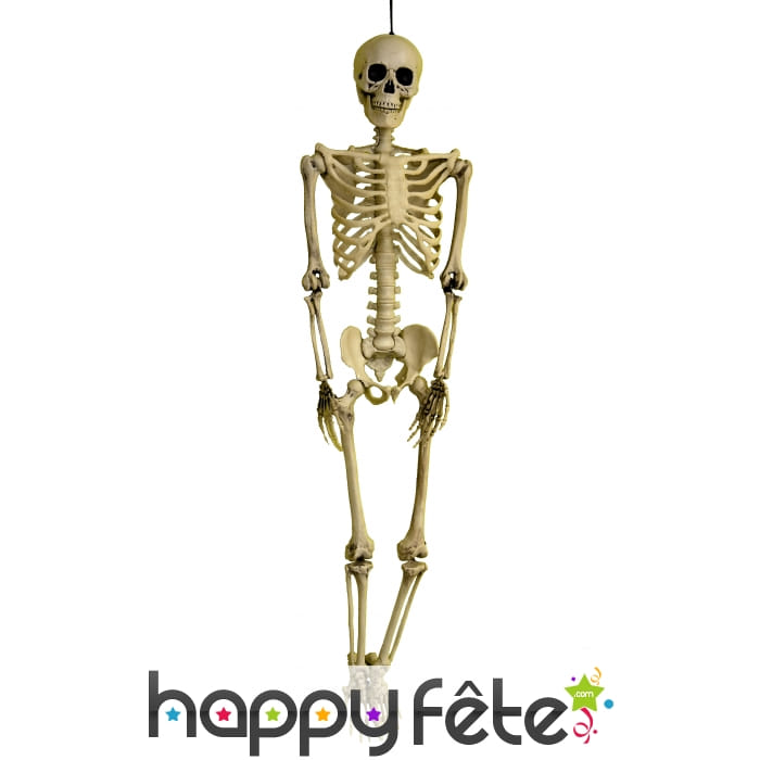 Squelette de 90 cm à suspendre