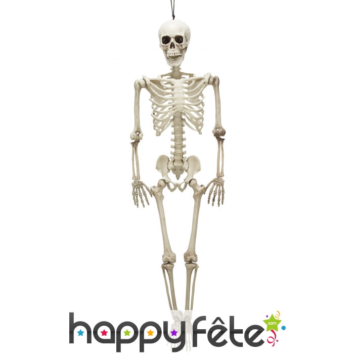 Squelette de 90 cm en plastique