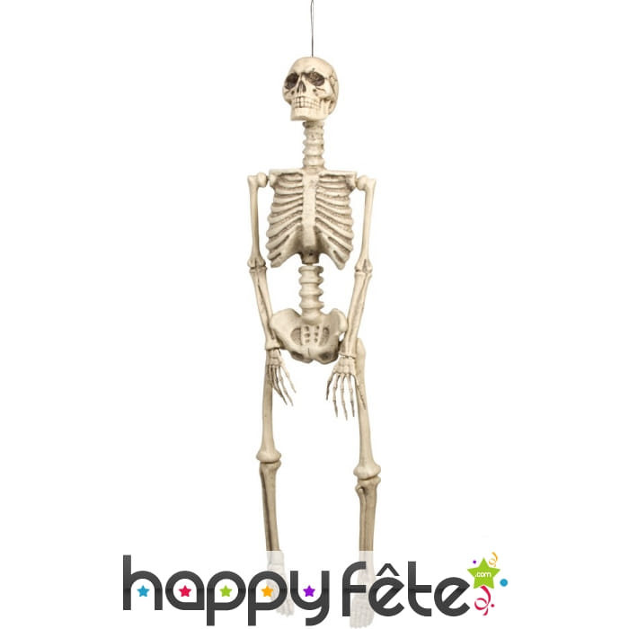 Squelette de 95x21cm à suspendre