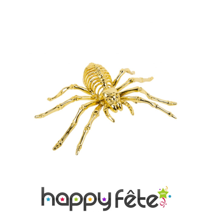 Squelette d'Araignée doré de 20cm