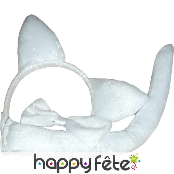 Set de chat blanc