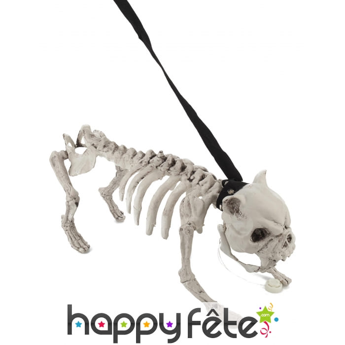 Squelette de chien lumineux et sonore