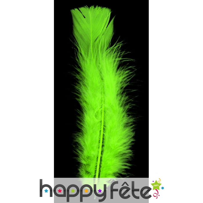 Sachet de plumes anis