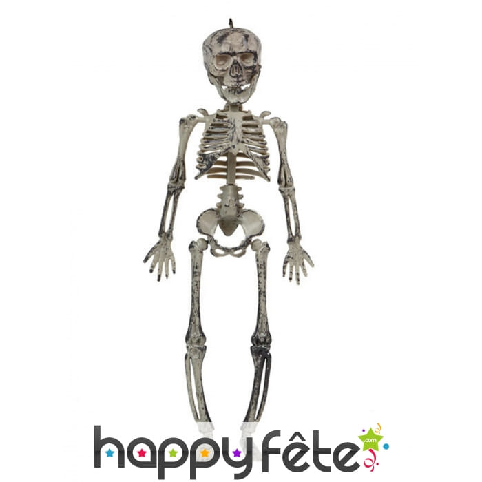 Suspension de petit squelette, 30 cm