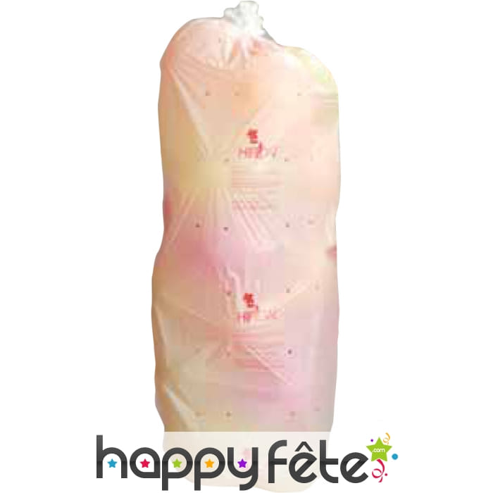 Sac de transport pour ballons