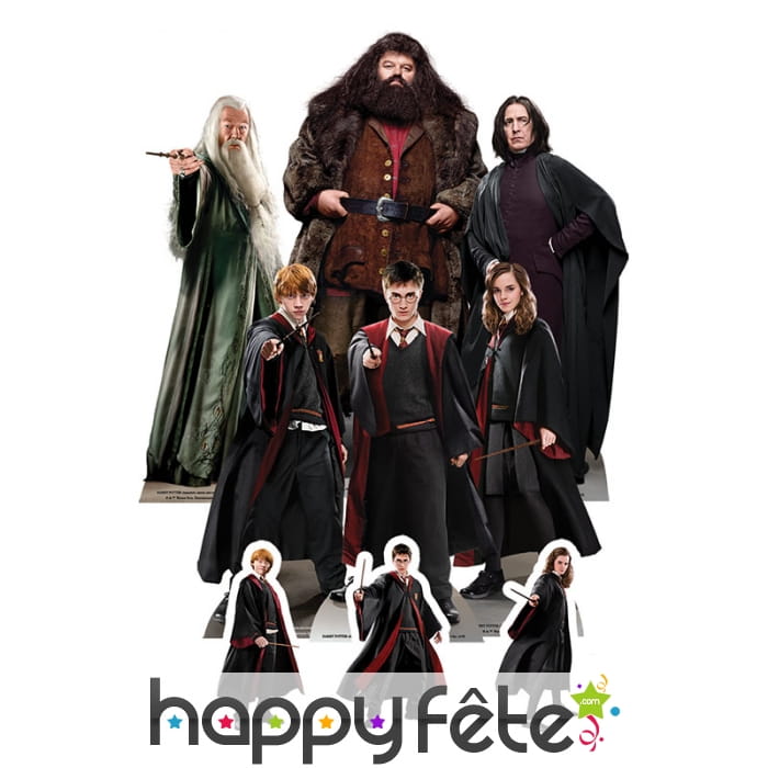 Silhouette de table Harry Potter