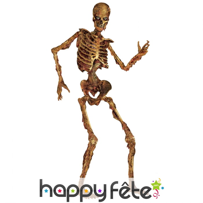 Squelette en putréfaction articulé en carton 180cm