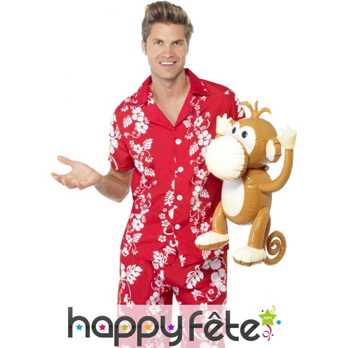 Singe gonflable brun