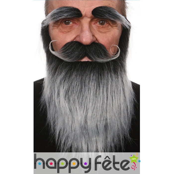 Set moustache, barbe et sourcils gris