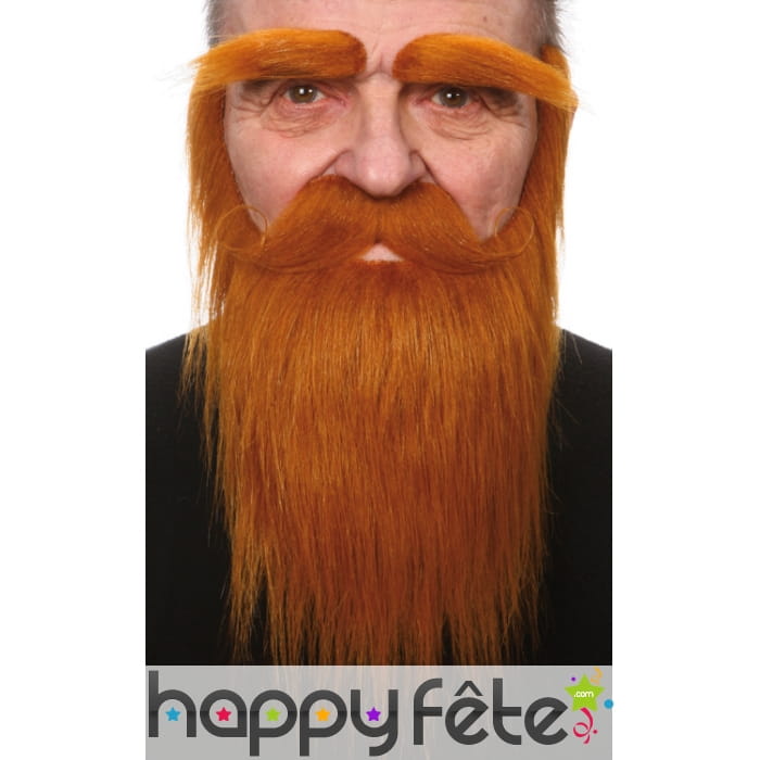 Sourcils, moustaches et barbe rousse