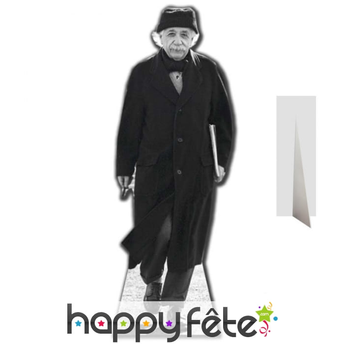 Silhouette plate de Albert Einstein