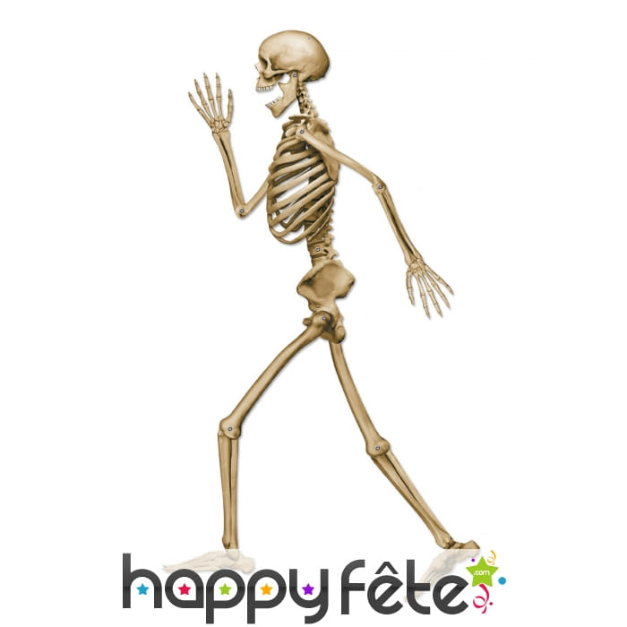 Squelette qui marche en carton de 94cm