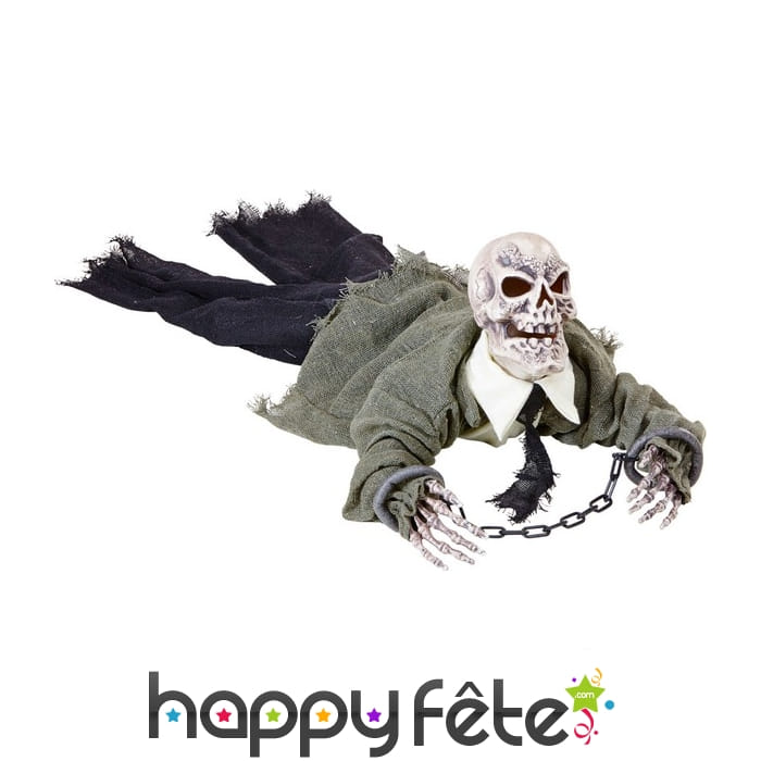 Squelette rampant animée de 80cm