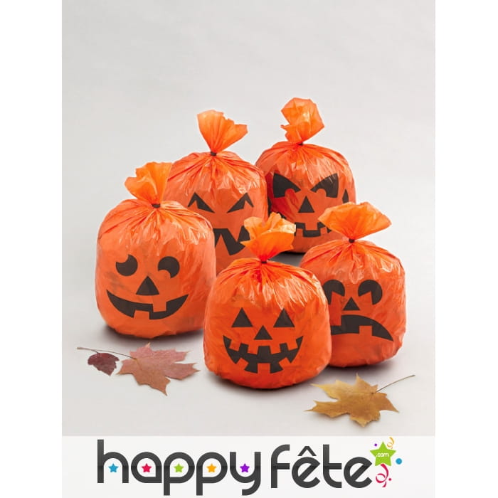 Sachets visage de citrouille de 15x20 cm