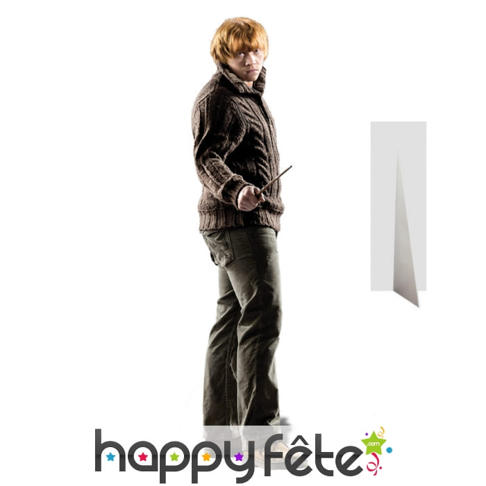 Silhouette Weasley Harry potter en carton