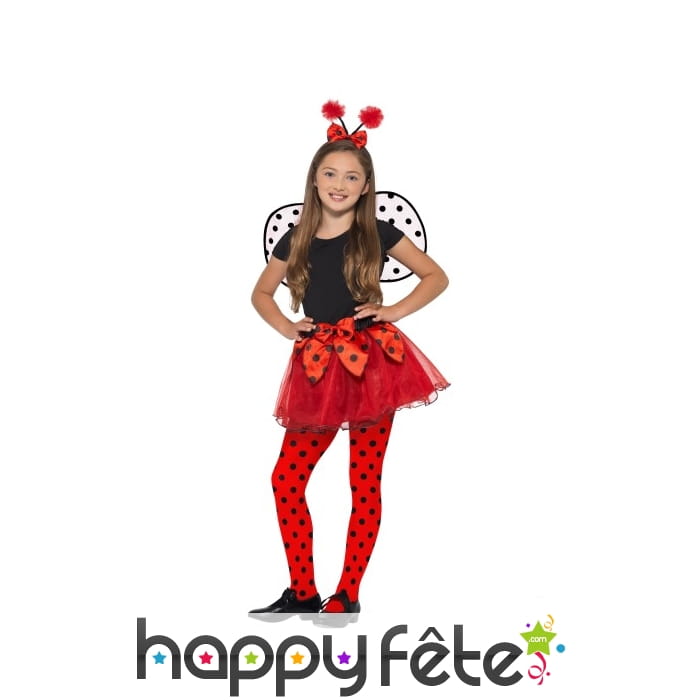 Tutu, ailes et antennes de petite coccinelle