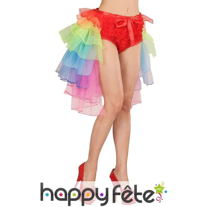Tutu burlesque queue de pie multicolore