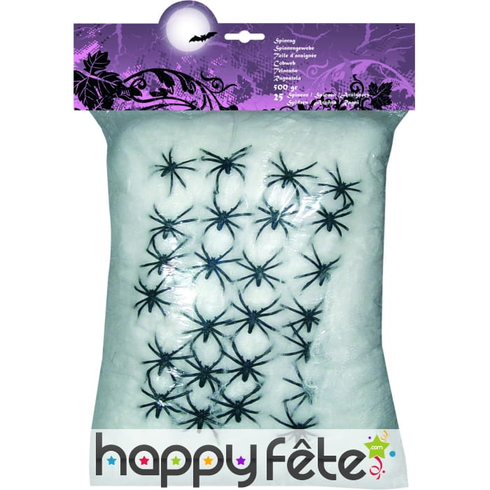 Toile d'araignee avec 25 araignees