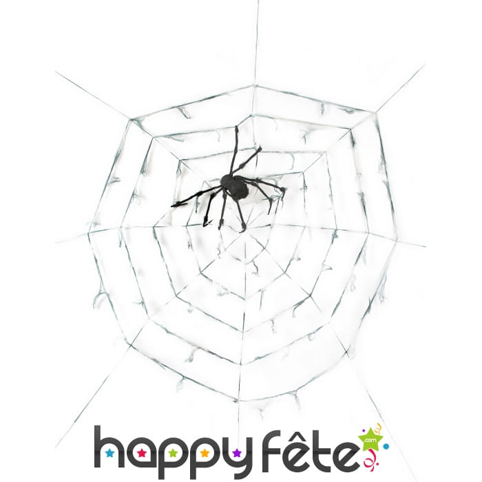 Toile d'araignée de 290cm avec araignée