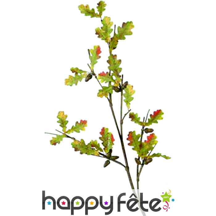 Tiges de feuilles de chêne