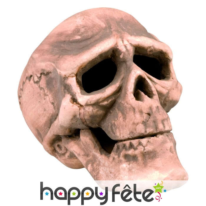 Tête de mort décorative de 15cm