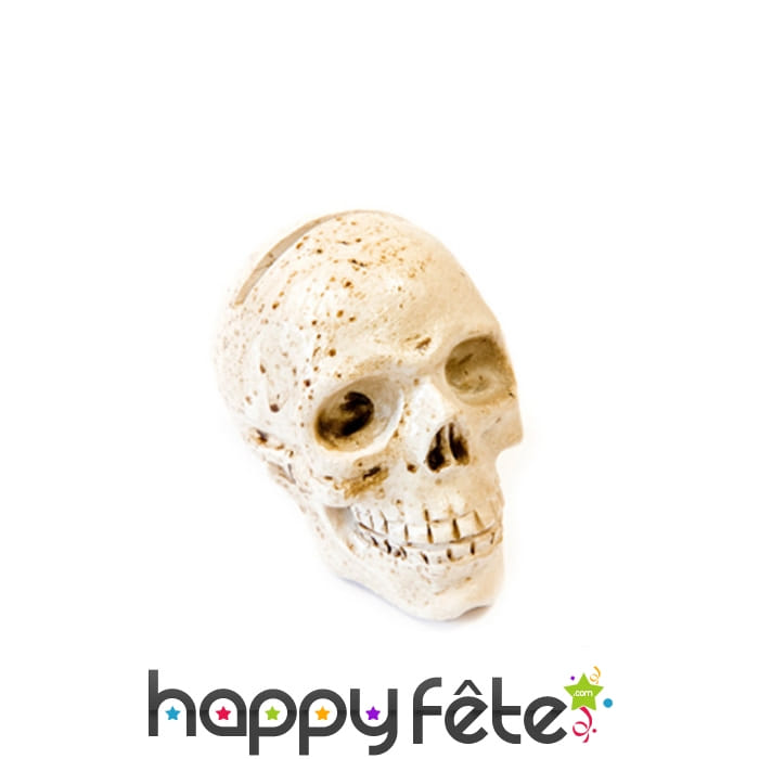 Tête de mort marque-place résine 4,5cm