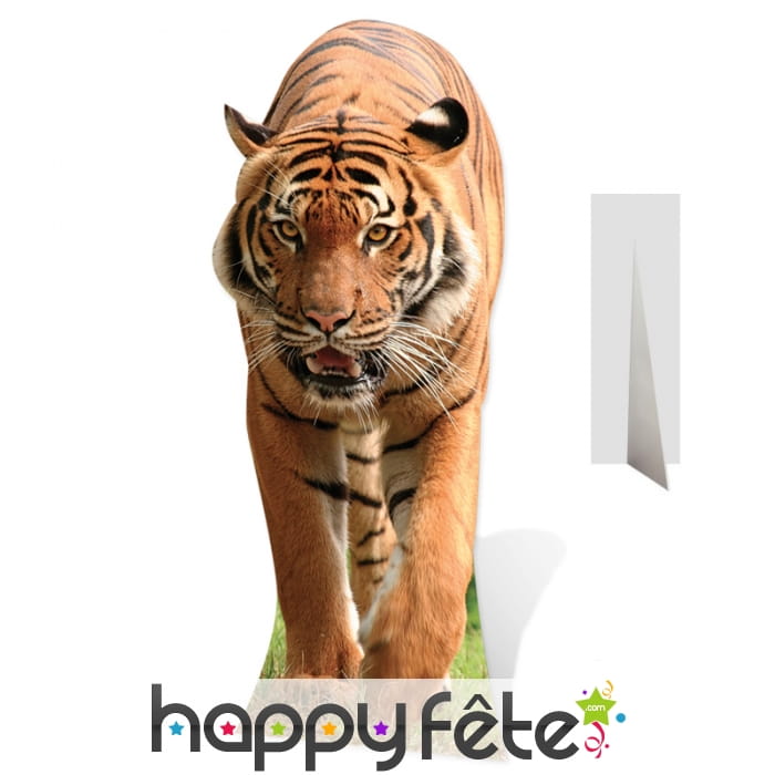 Tigre en carton plat, taille réelle