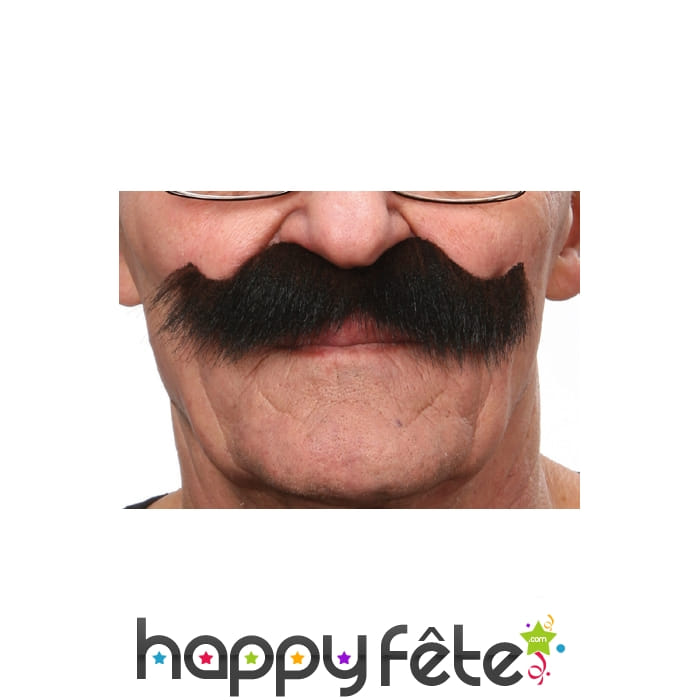 Très grosses Moustaches brunes