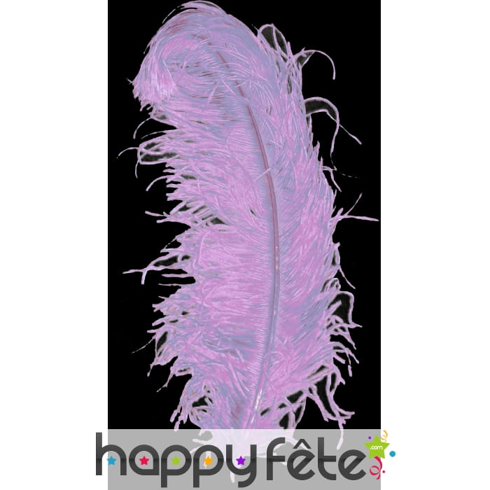 Très grande plume d'autruche parme de 50cm.