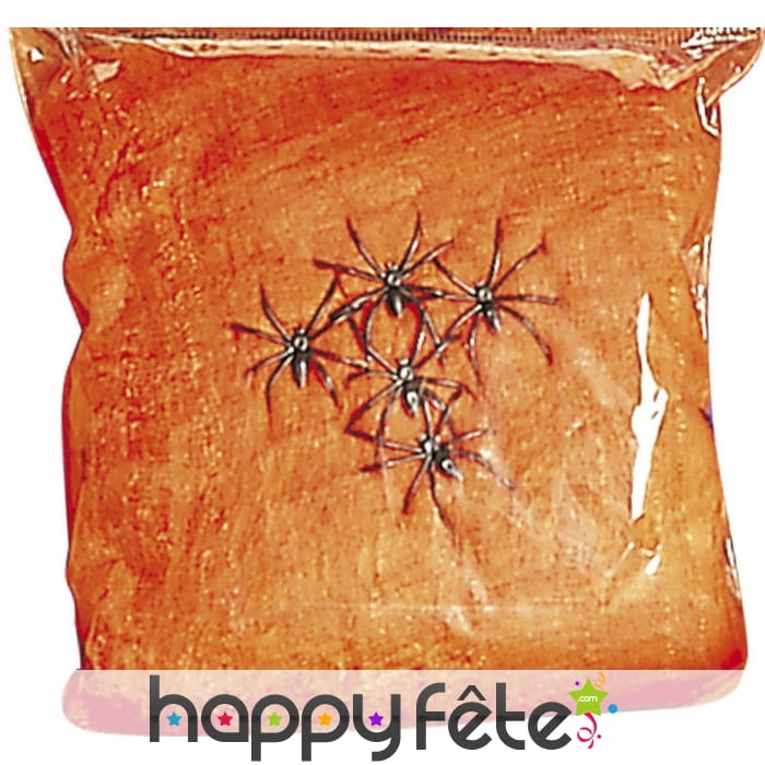 Toile orange avec 5 araignées