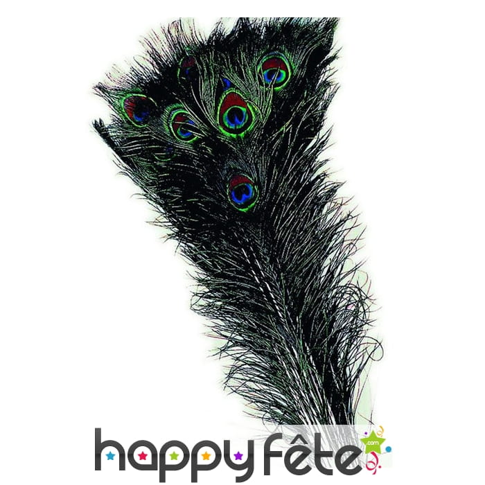 Véritable plume de paon bleu vert de 70cm