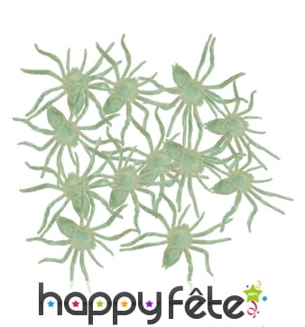 12 araignees phosphorescentes