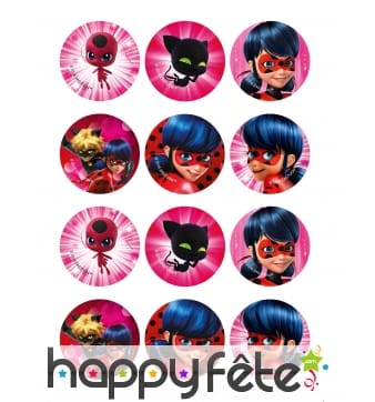 12 Décos pour biscuits Ladybug de 6 cm en sucre