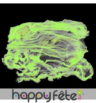 1Kg de toile d'araignée verte et 20 araignées