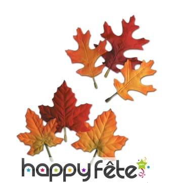 12 feuilles d'automne